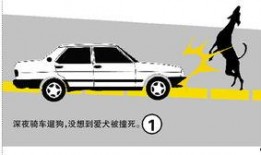 湛江最新爆料撞车,惊心动魄的撞车事故现场！